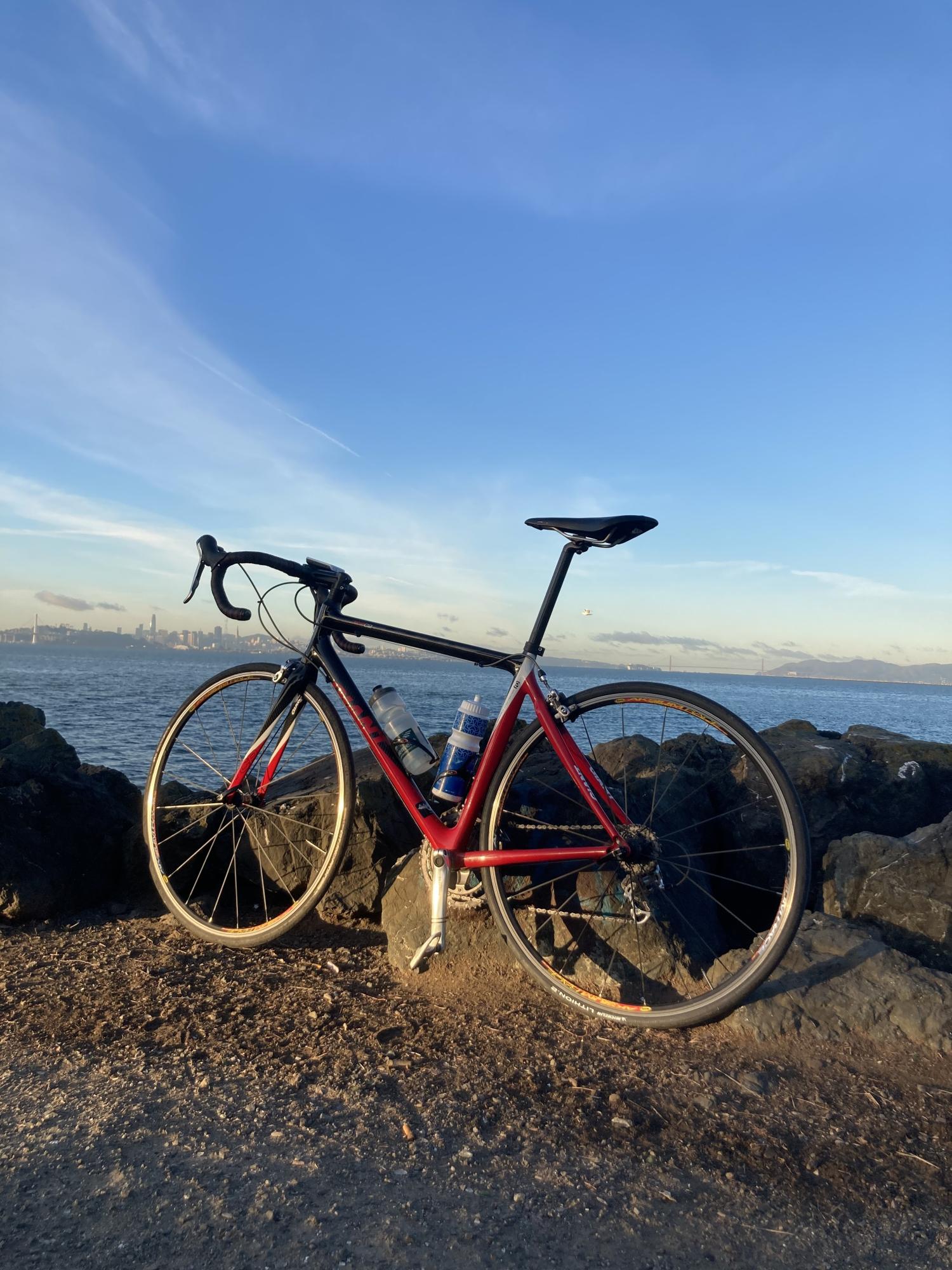 2008 Giant TCR C2 Red en Black