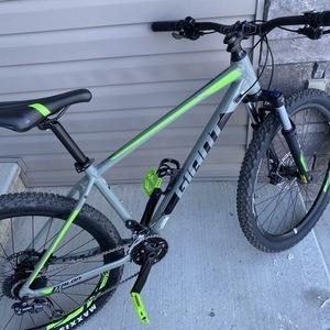 2019 Giant Talon 2 Silver, gray or bare metal and Green
