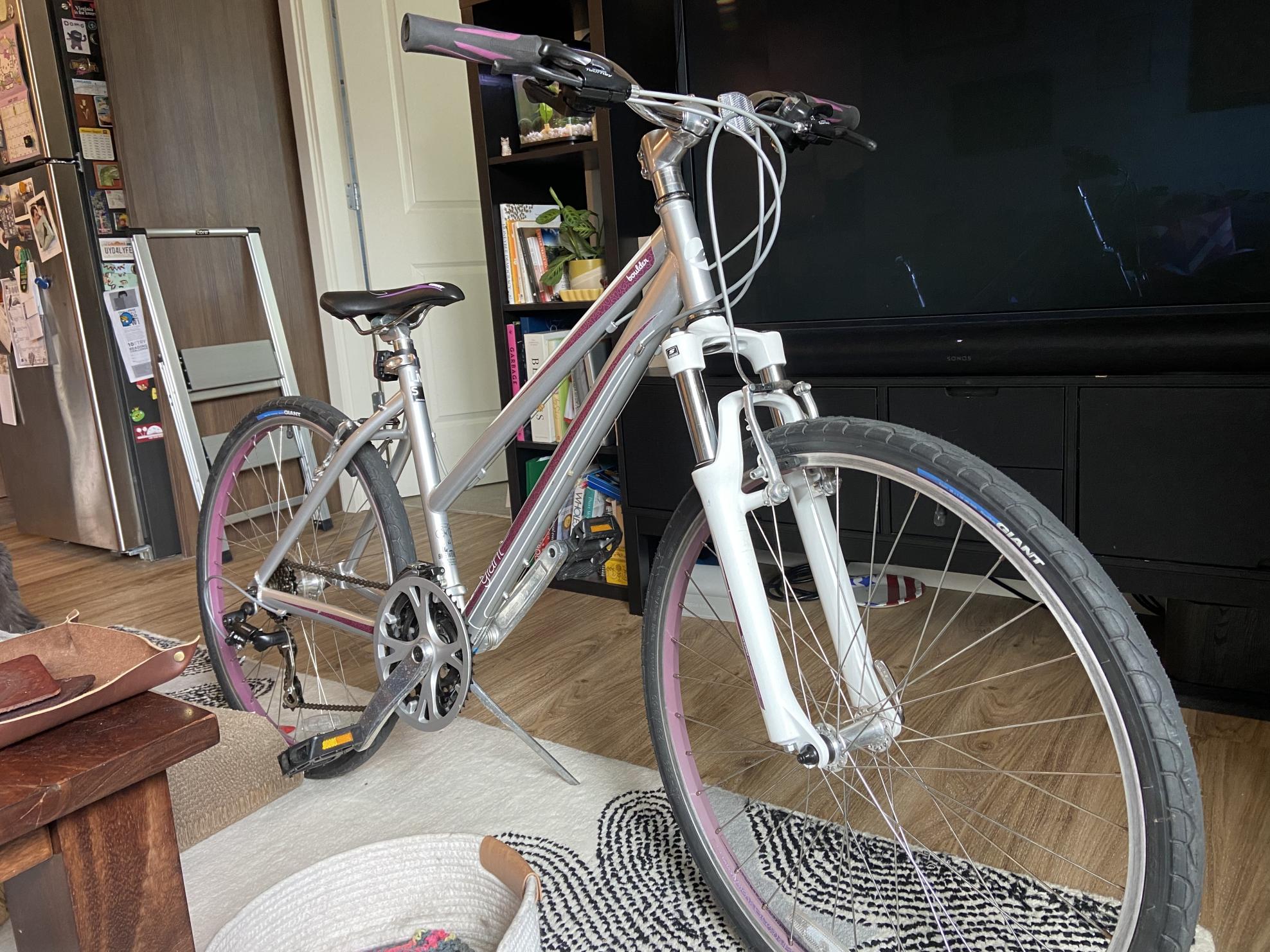 Giant Silver, gray or bare metal and Purple