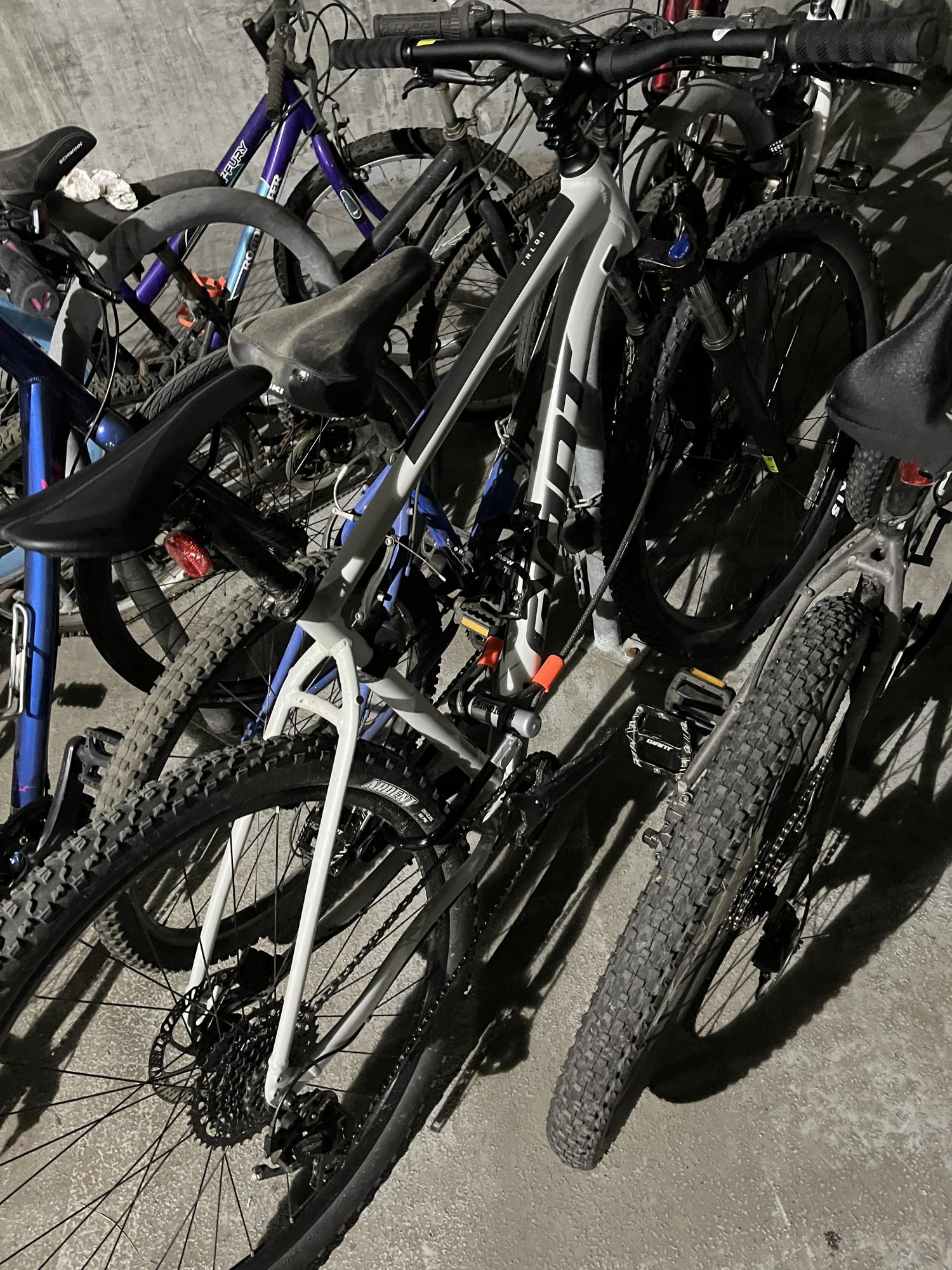 2021 Giant Talon 2 29” (L) Silver, gray or bare metal