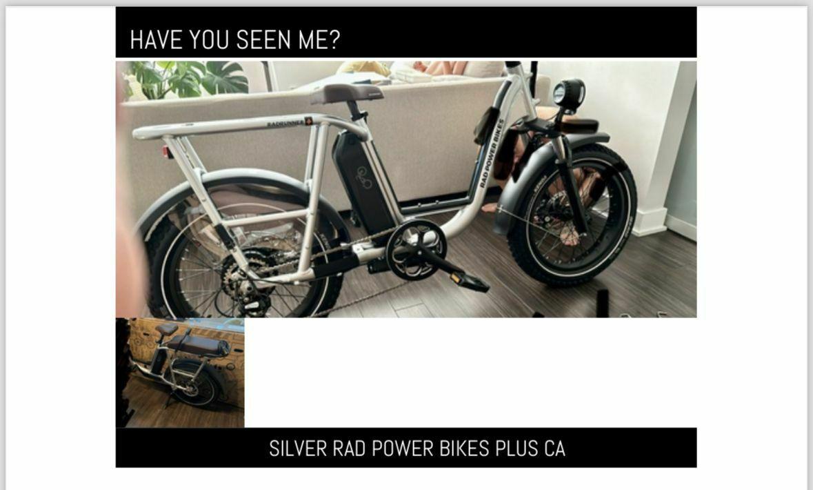 2024 Rad Power Bikes Silver, gray or bare metal