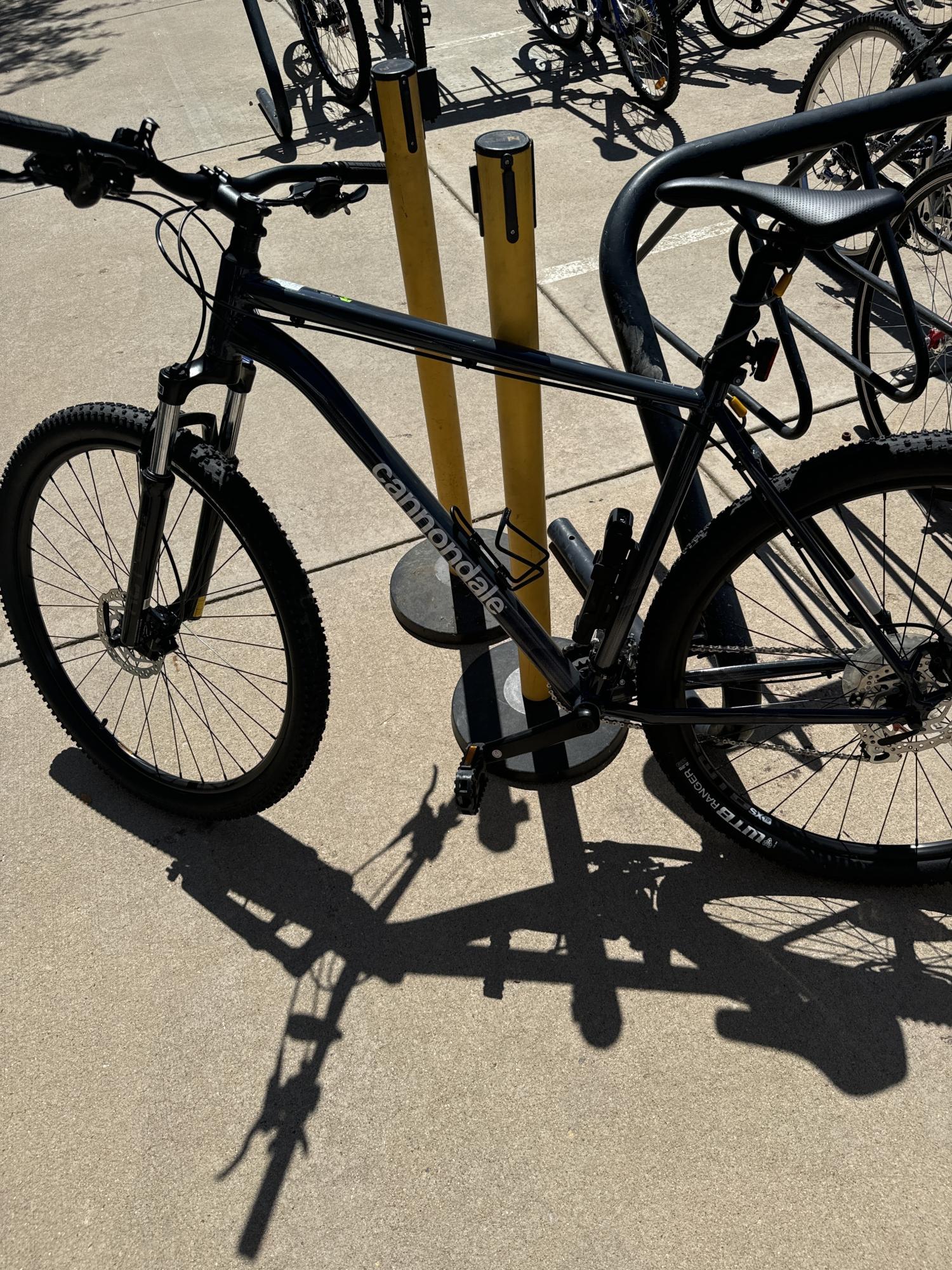 2024 Cannondale Trail 6 Silver, gray or bare metal