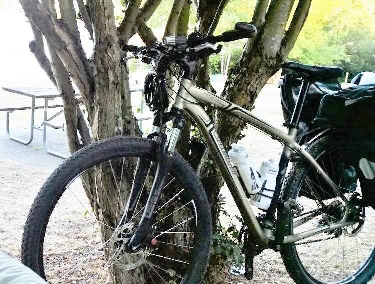 2010 Specialized Hardrock Sport Disc 29 Yellow or Gold