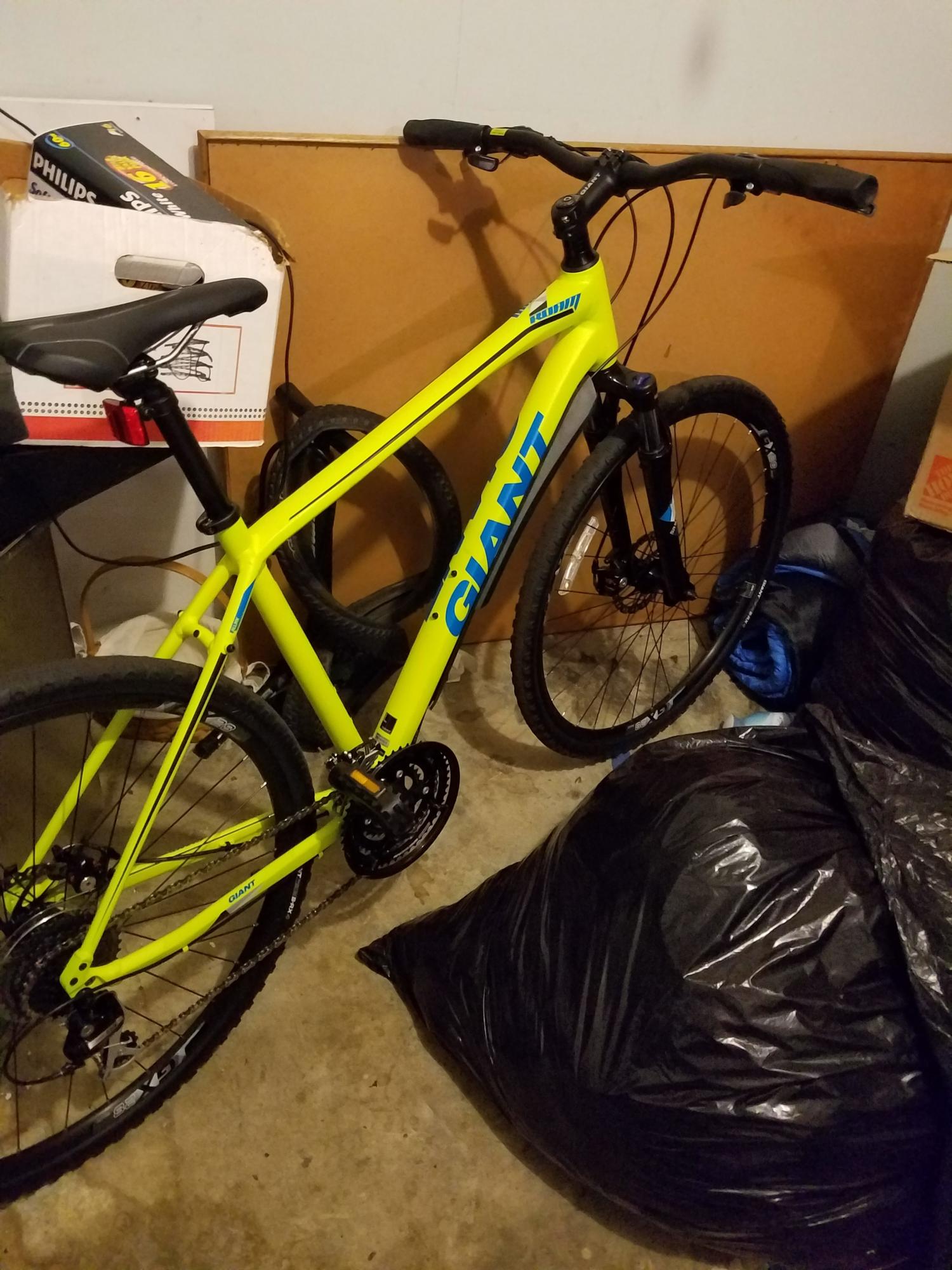 Giant Roam 3 Green and Blue