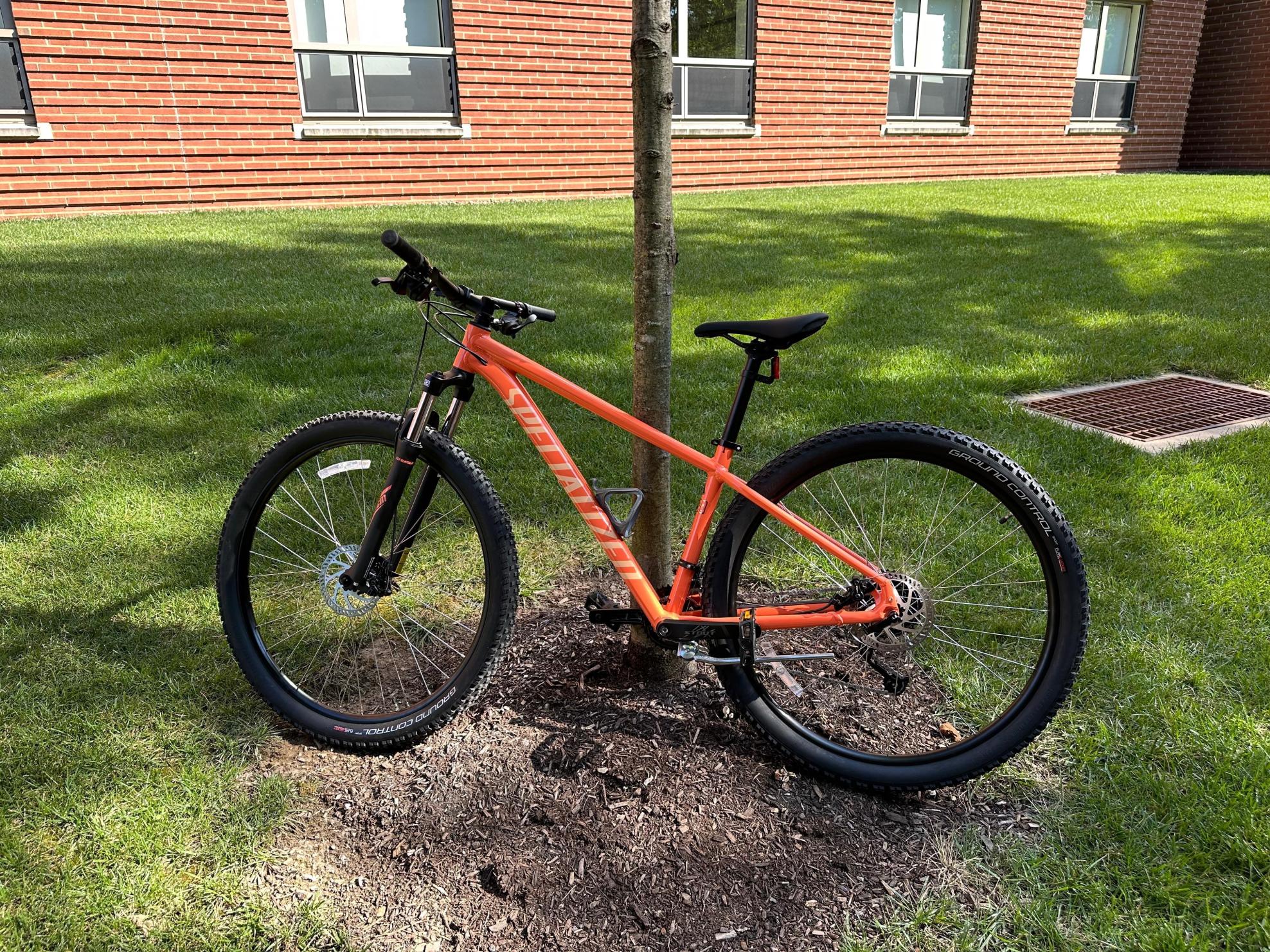 2023 Specialized Orange