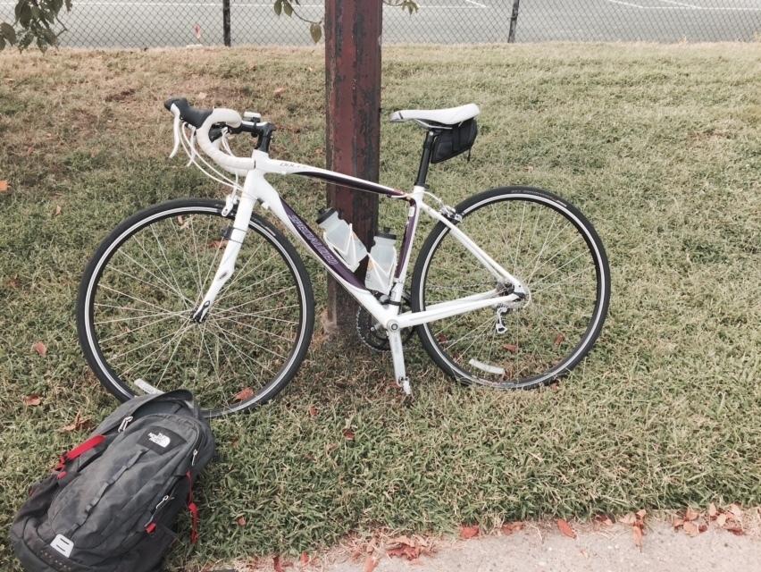 2011 Specialized Dolce Sport Triple White and Purple