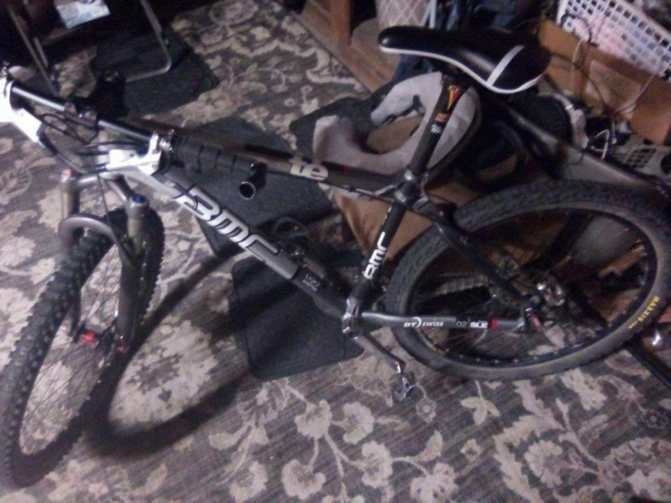 2023 BMC Te01 team elite 01 Silver, gray or bare metal