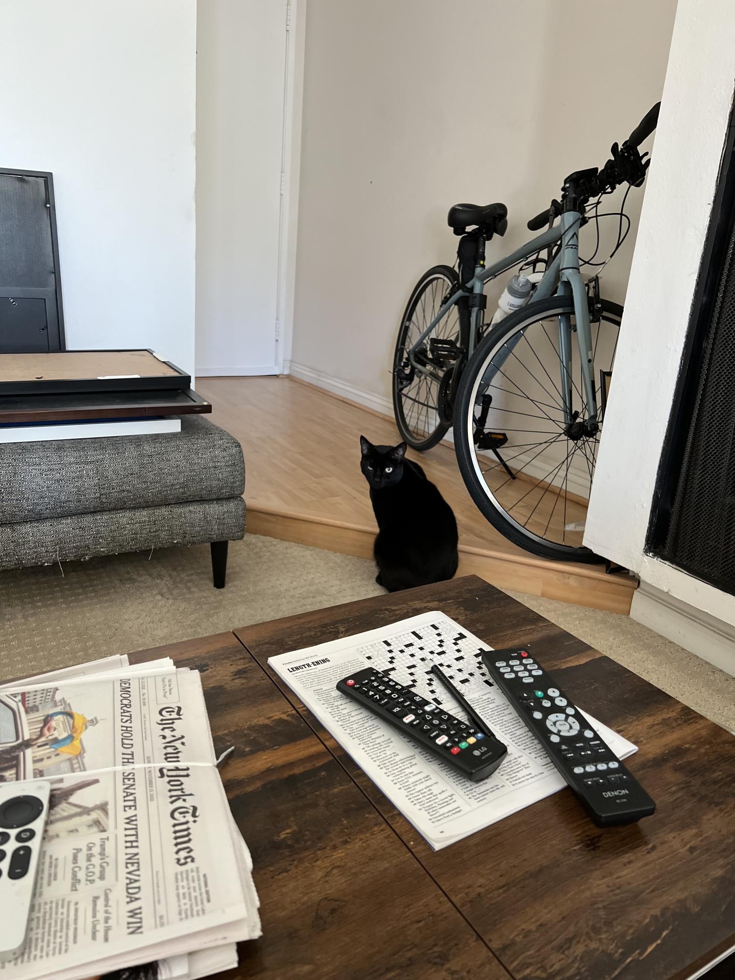 2020 Fuji Absolute 2.1 - 17M Silver, gray or bare metal