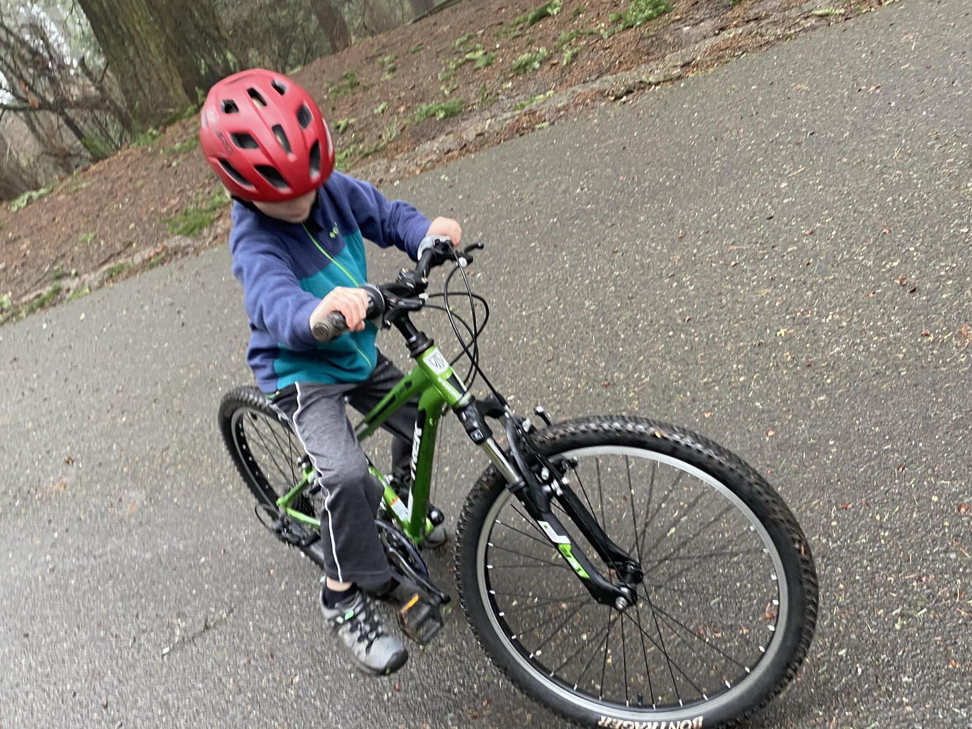 Trek MT 220 Green and Black