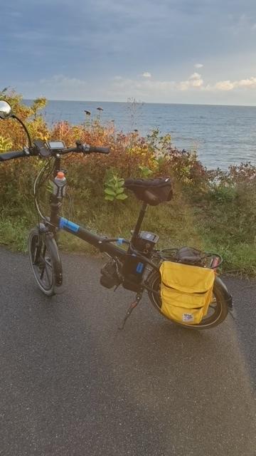 2020 Magnum Bikes Premium HS II Black