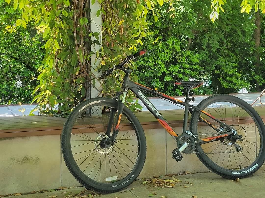 Trek Black and Orange