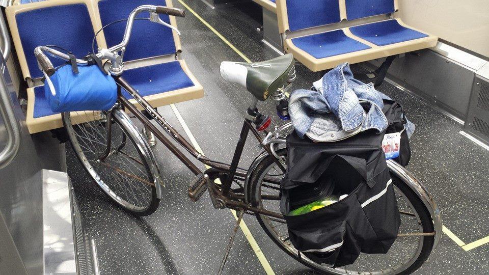 1974 Schwinn collegiate  Brown