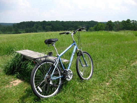 2007 Raleigh venture 4.0  Black