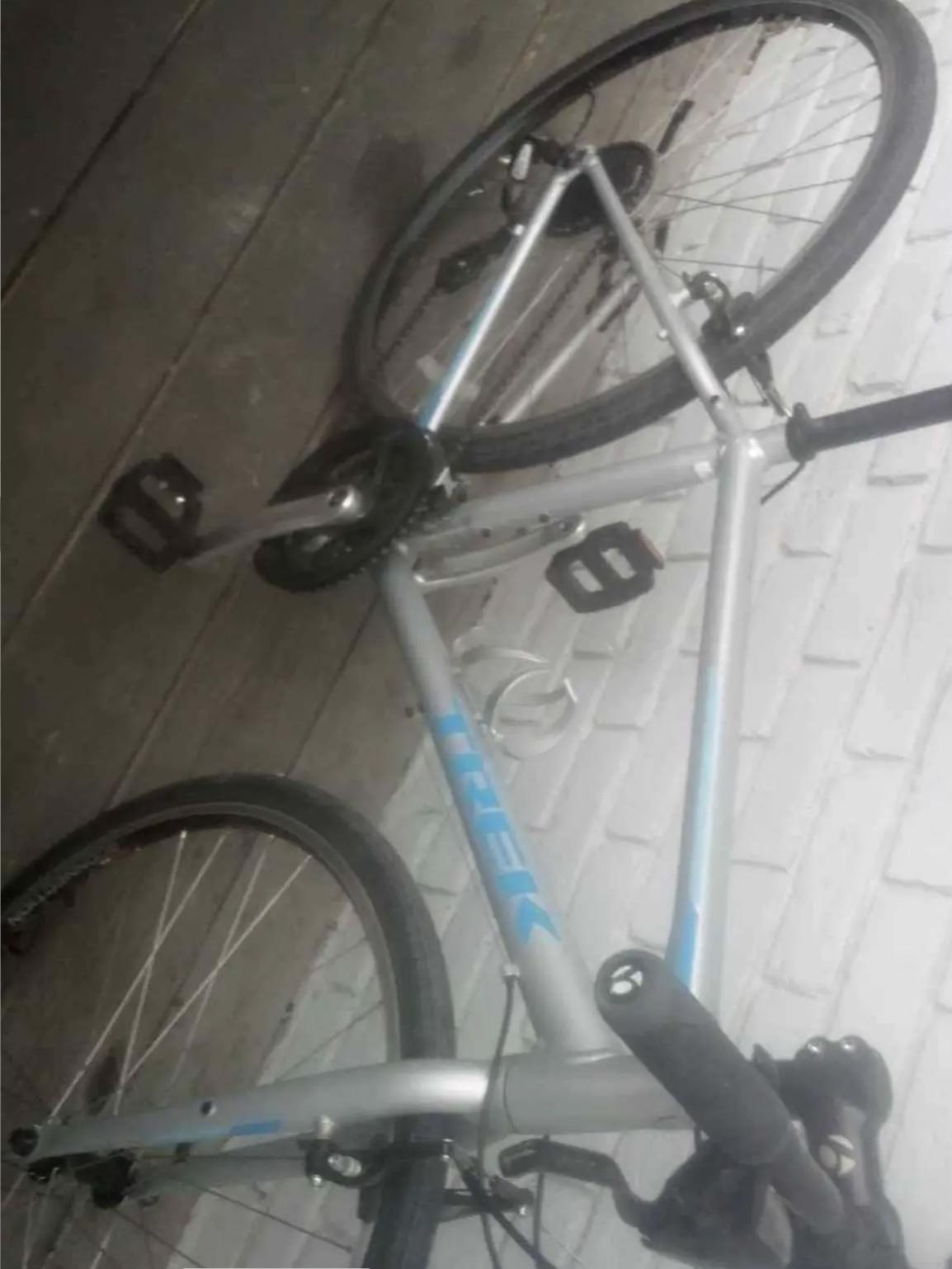 2019 Trek Silver, gray or bare metal