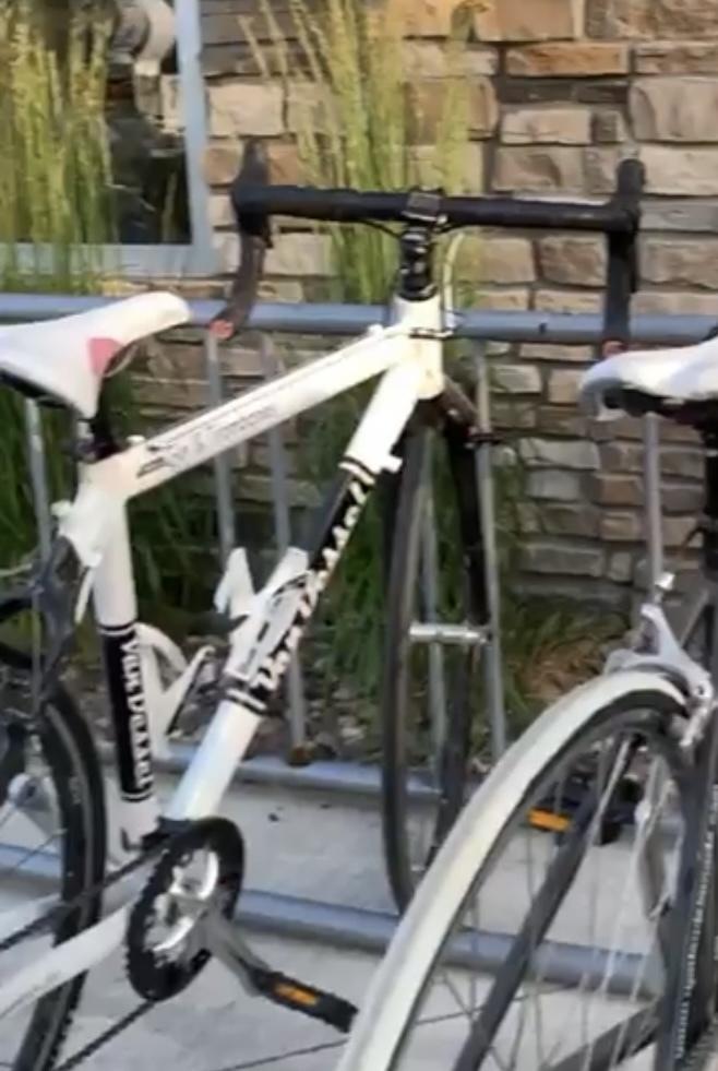 Van Dessel White and Black