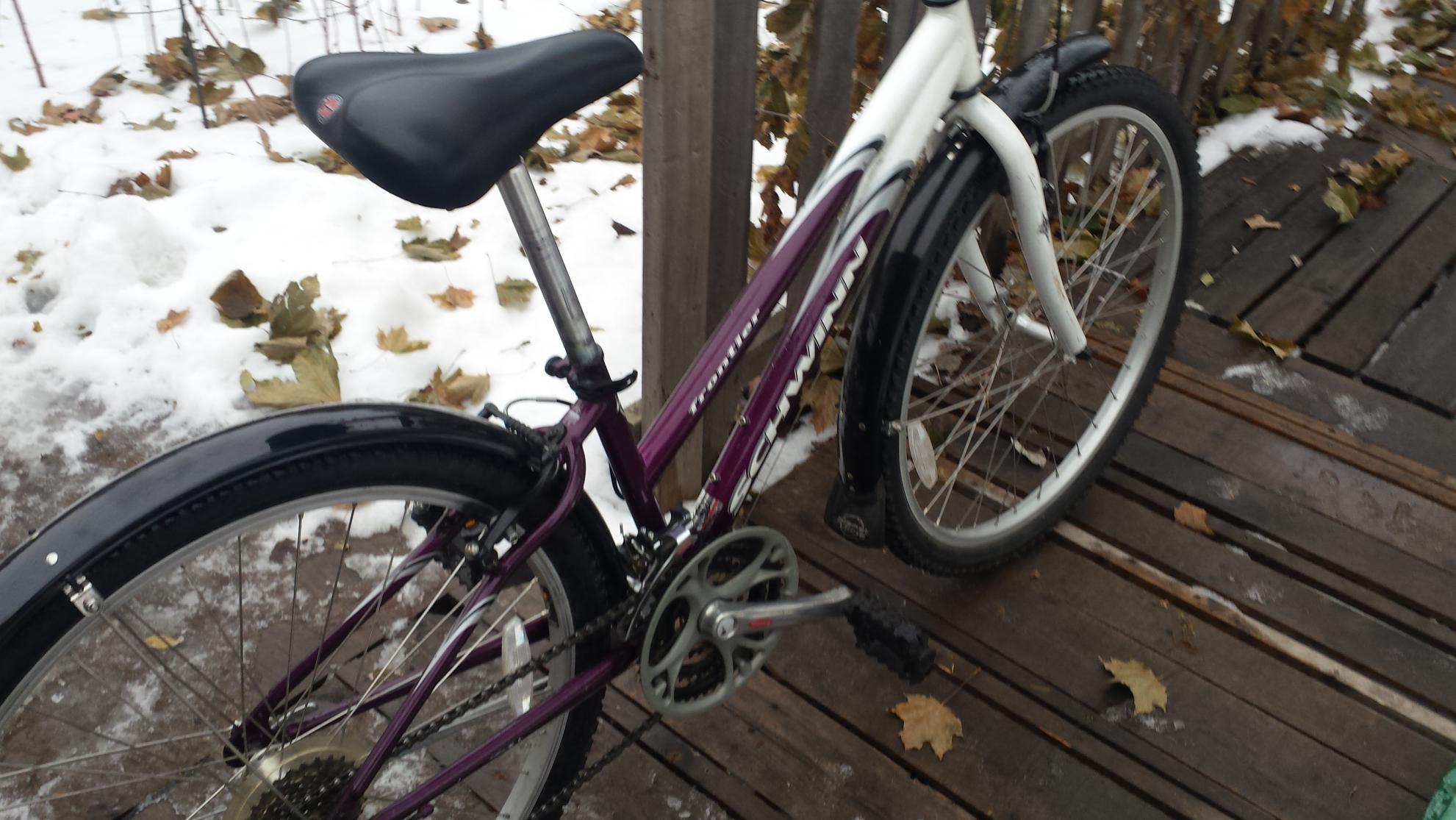 Schwinn Frontier White and Purple