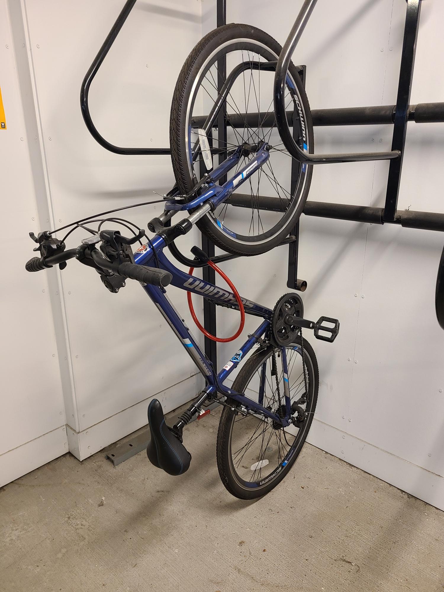 Schwinn Trailway Blue