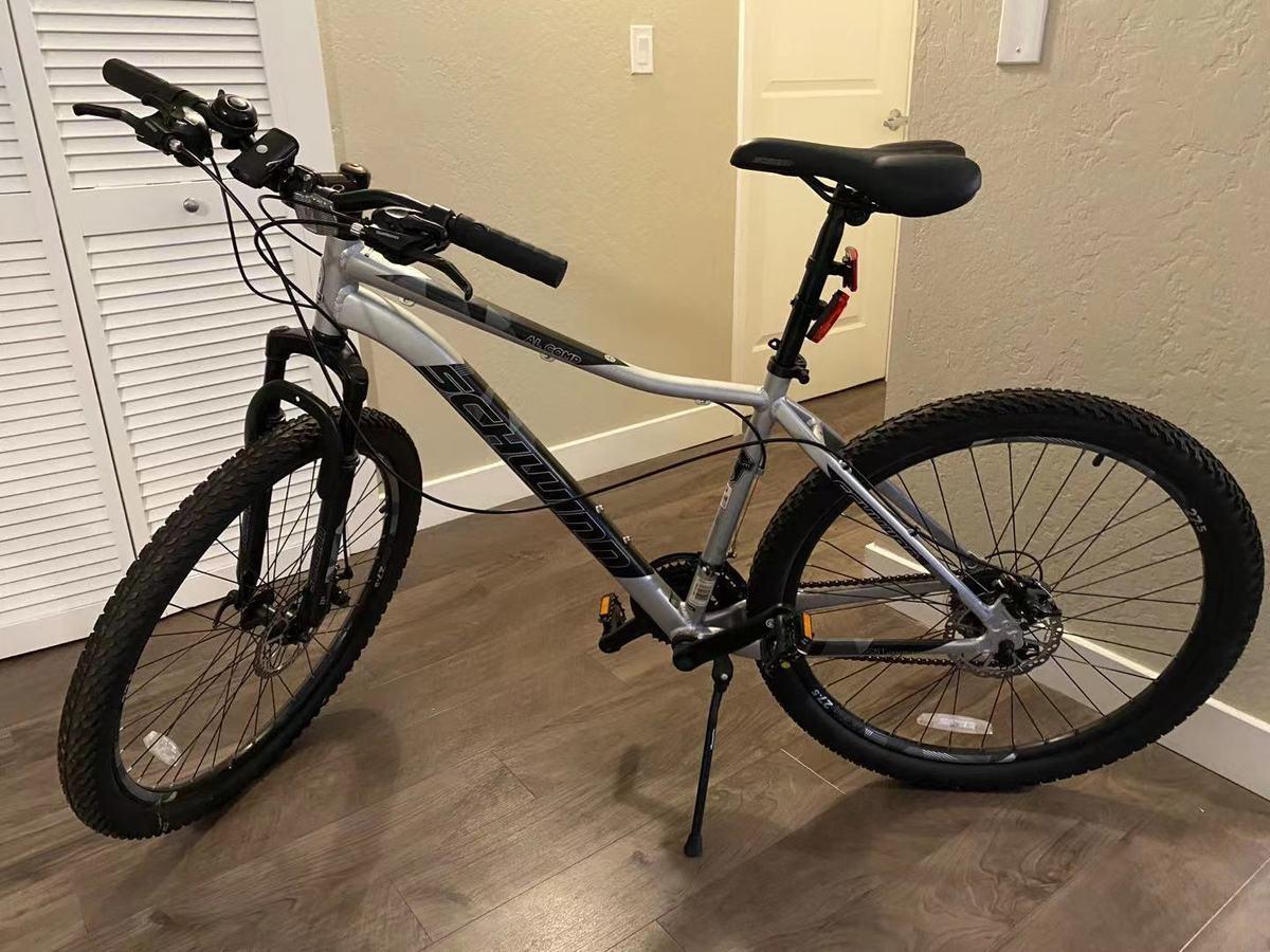 Schwinn Silver, gray or bare metal