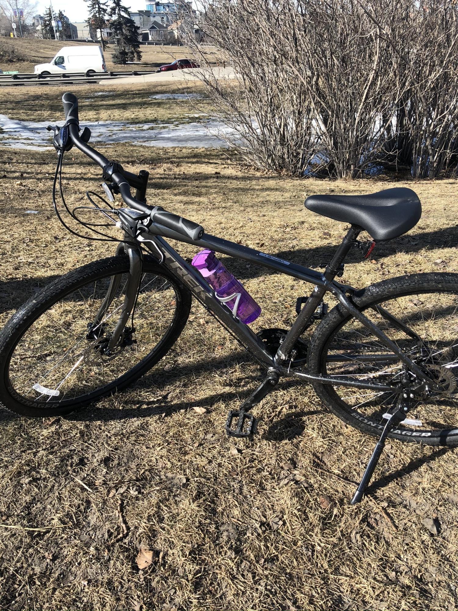 2020 Trek Verve 1 Silver, gray or bare metal