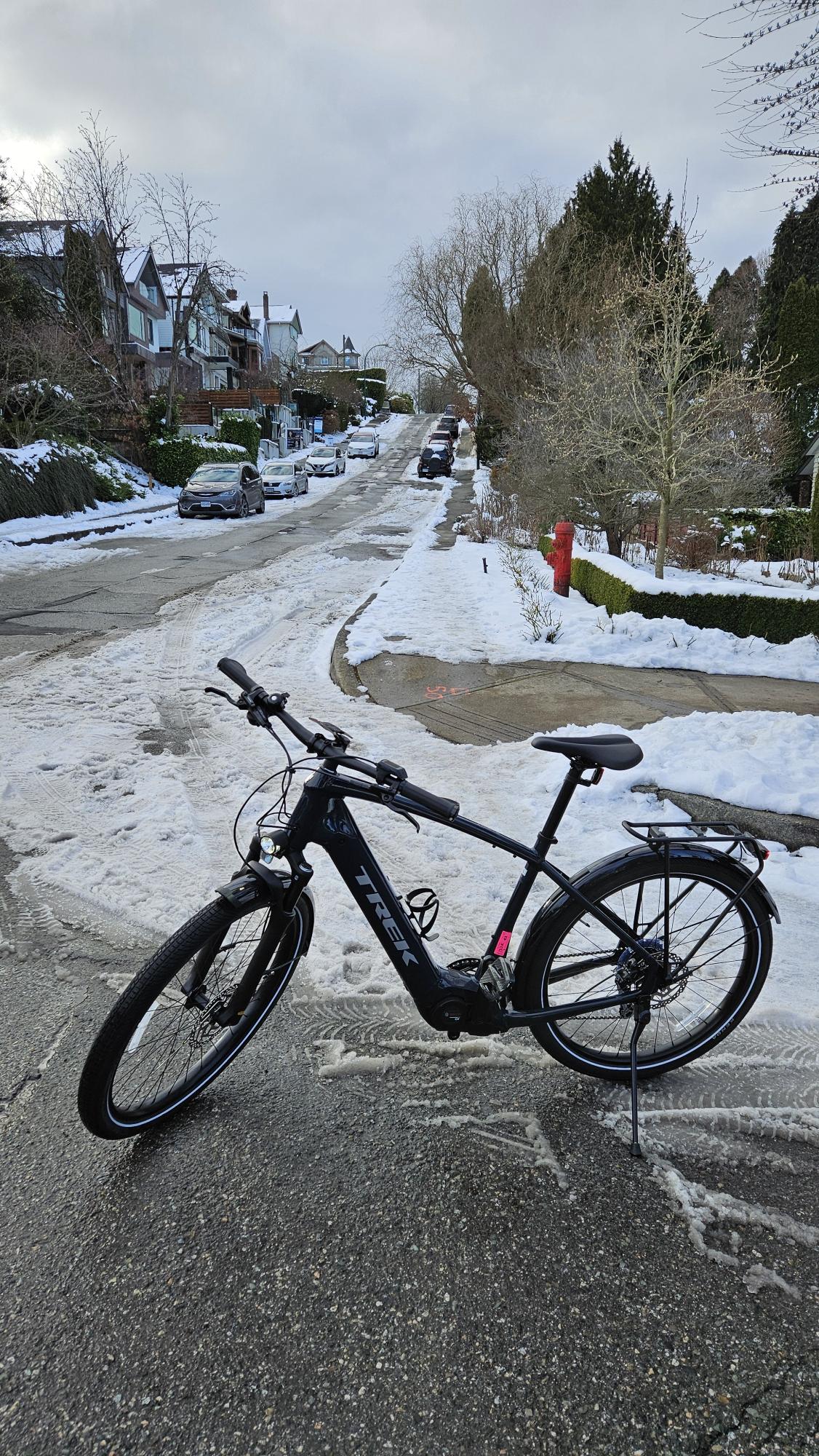 2023 Trek Allant+ 7 Blue