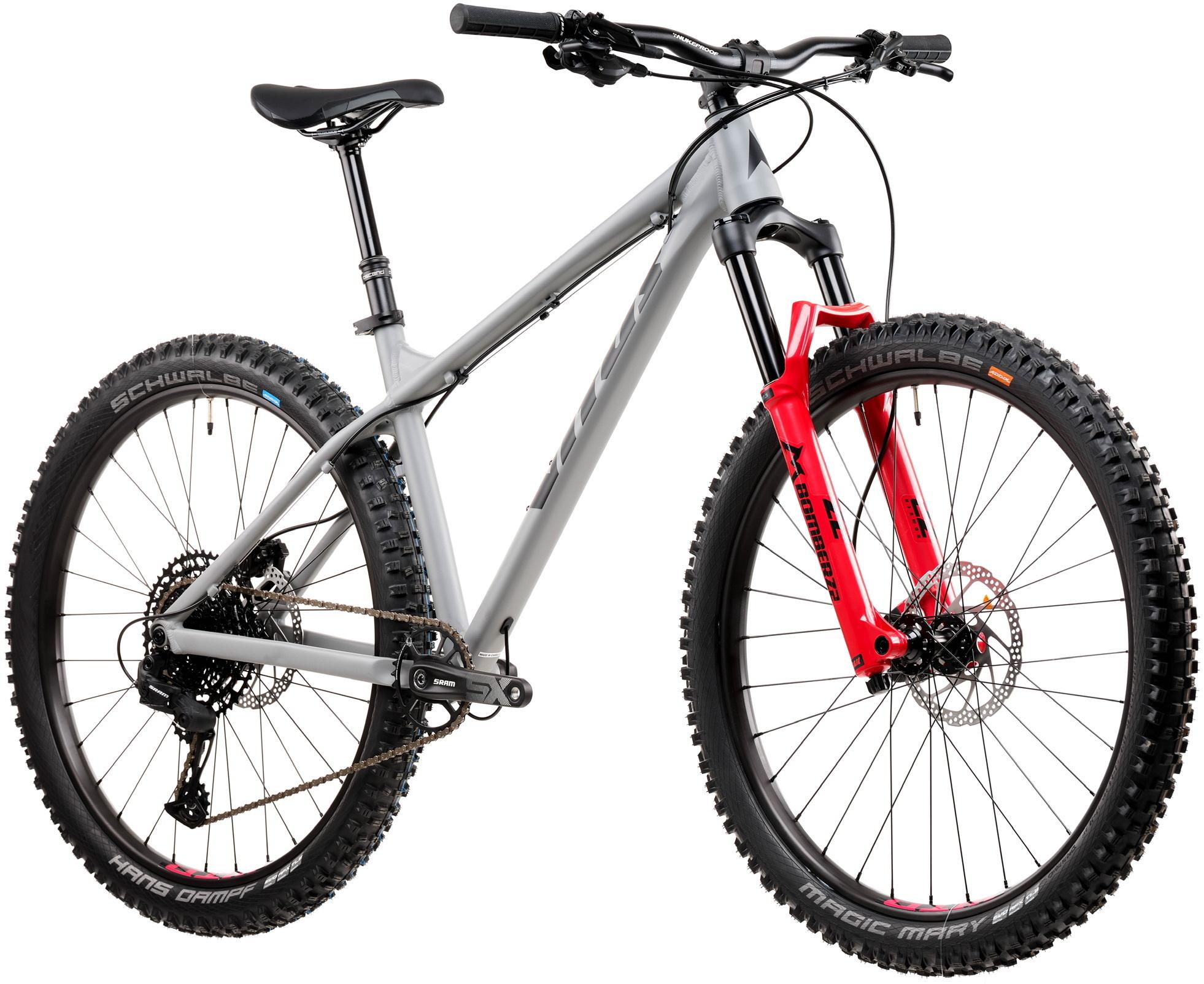 2022 Vitus Sentier Silver, gray or bare metal
