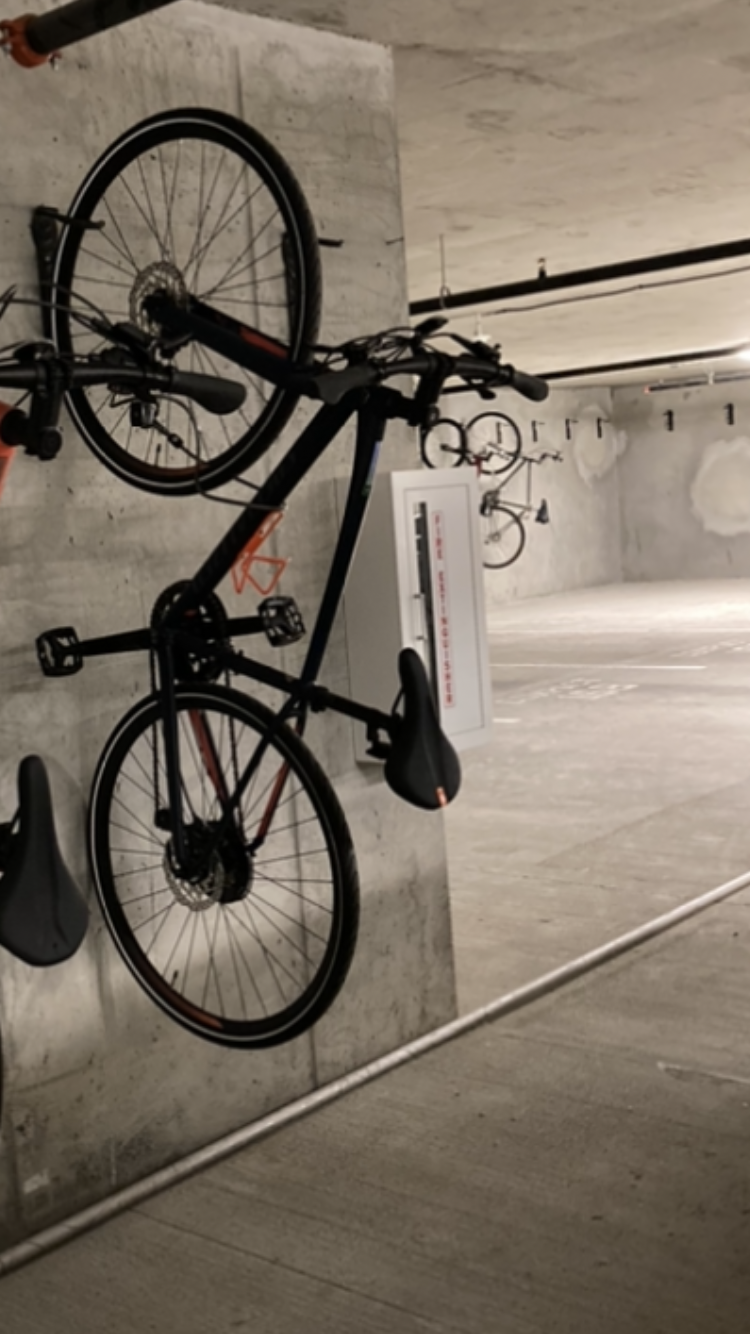 2019 Specialized Hybrid Blue