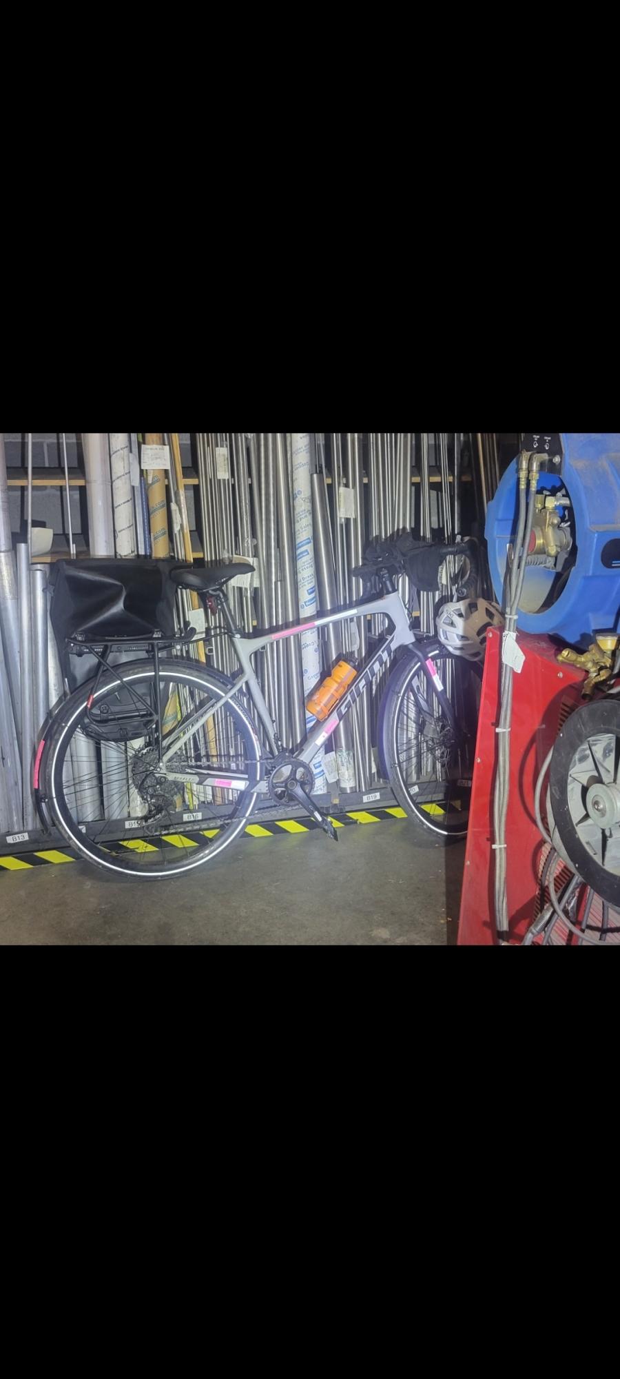 2021 Giant Revolt Advanced 1 Silver, gray or bare metal