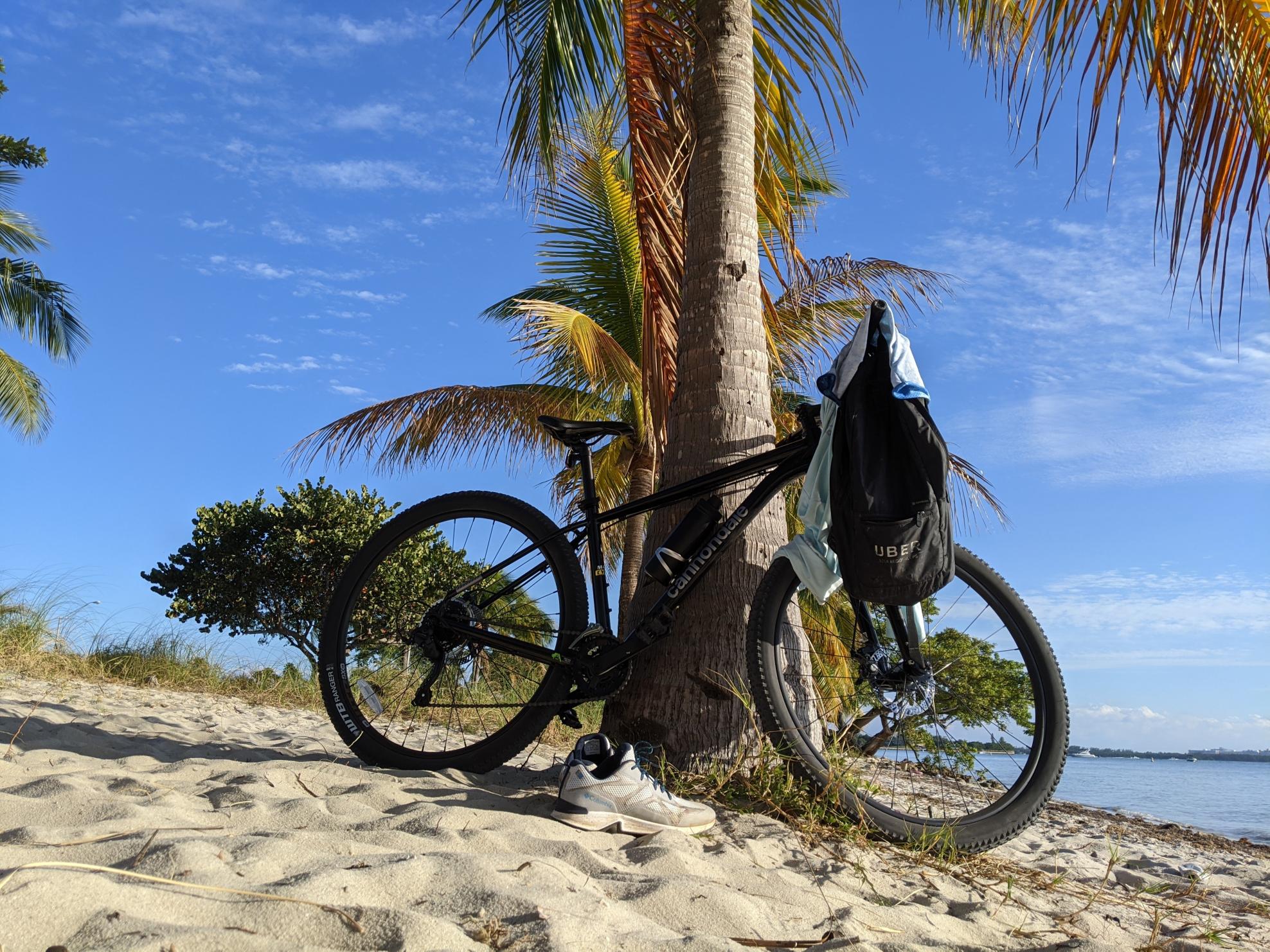 2021 Cannondale Trail 8 29