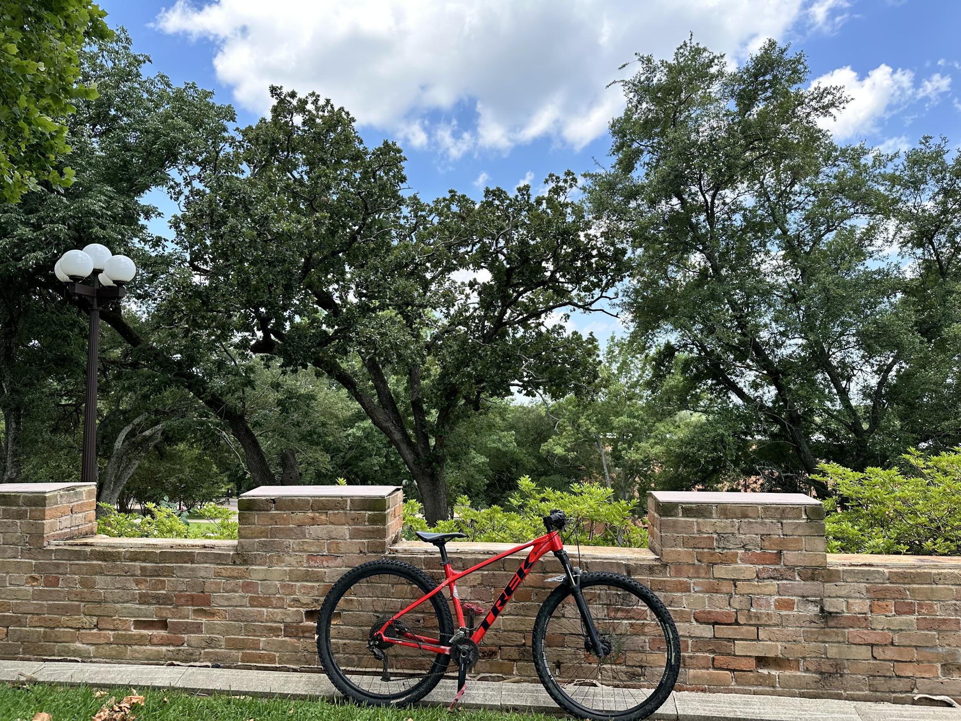 2020 Trek X-Caliber 7 Red and Black