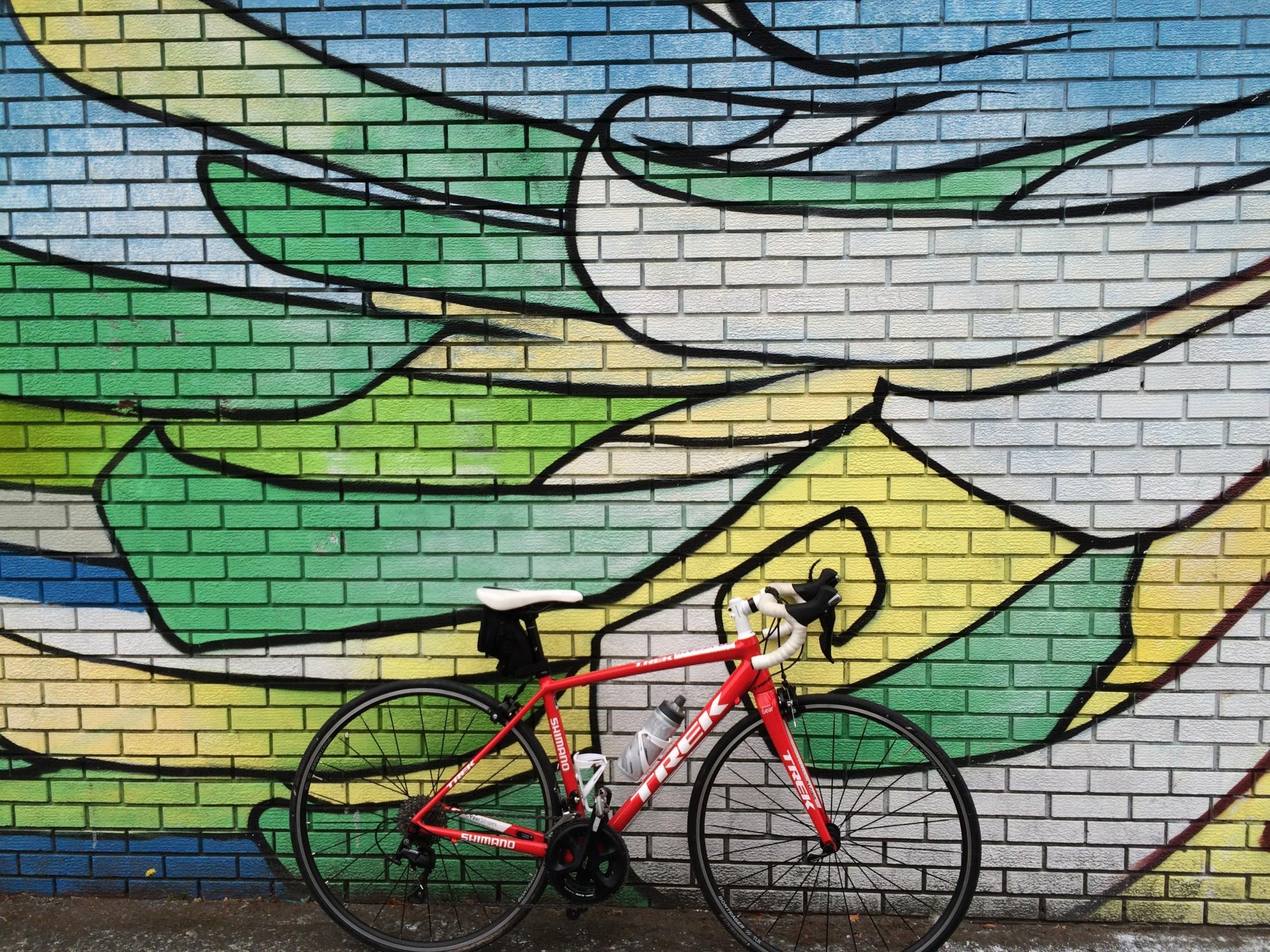 2016 Trek Emonda ALR 5 Red