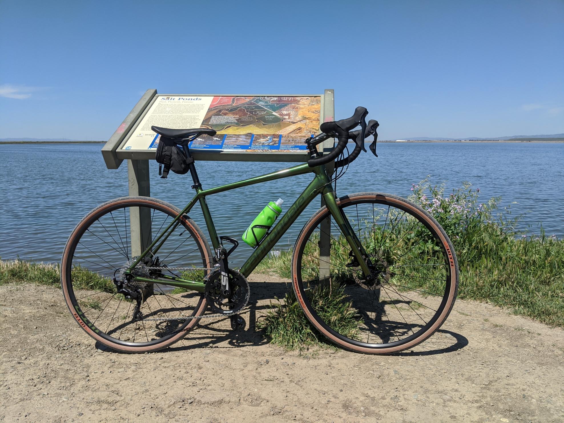 2019 Cannondale Synapse Disc 105 SE Green