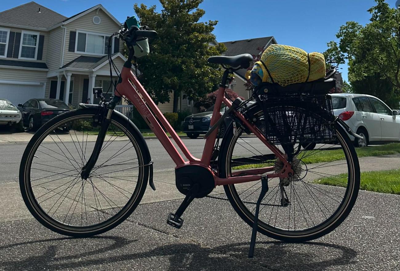 2019 Gazelle Medeo T9 Red