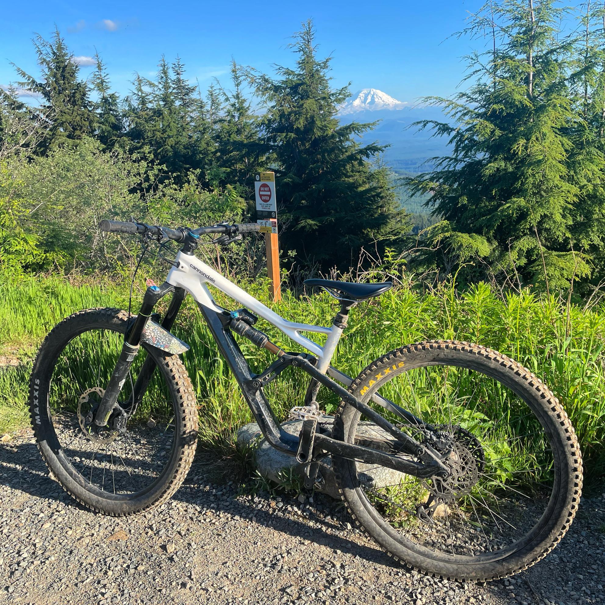 2020 Cannondale Jekyll Black
