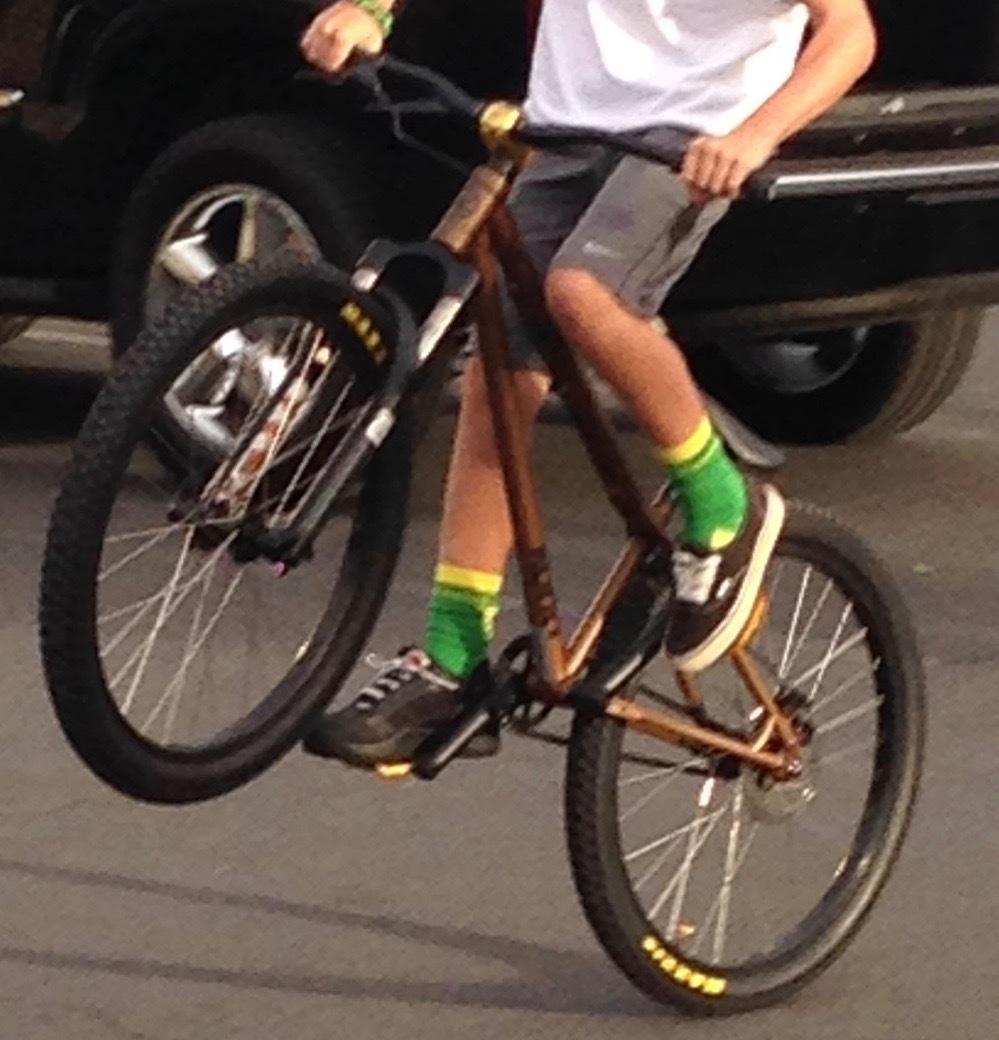 2013 Kona shonky Brown