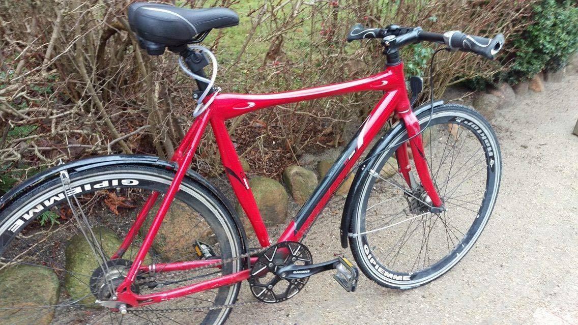 Batavus 180 cm Red