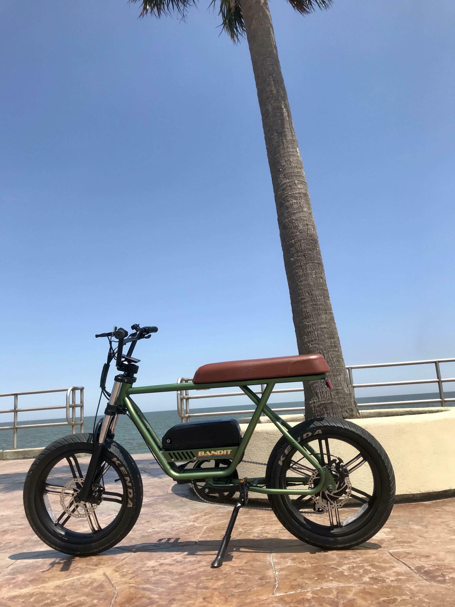 2020 FLX Bandit Green