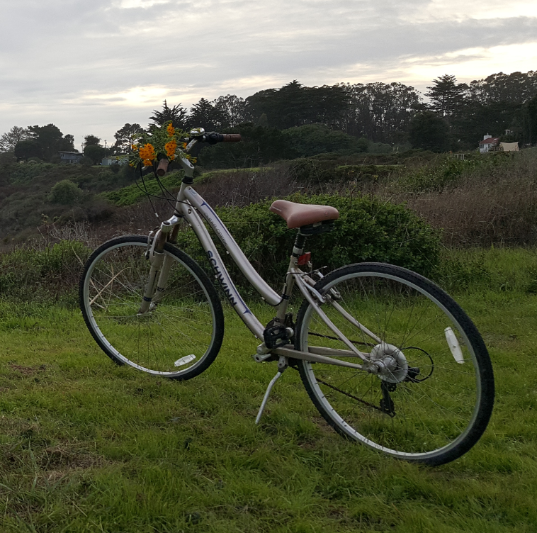 2014 Schwinn Yellow or Gold