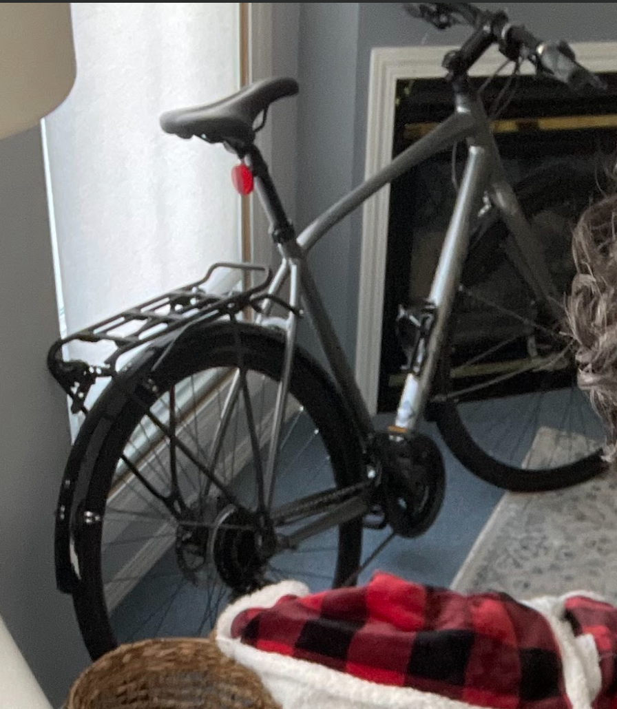 2021 Giant Escape 1 Silver, gray or bare metal