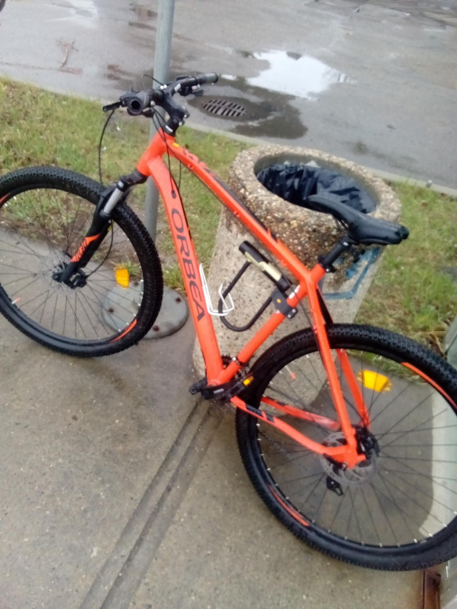 2024 Orbea Mx29 Orange