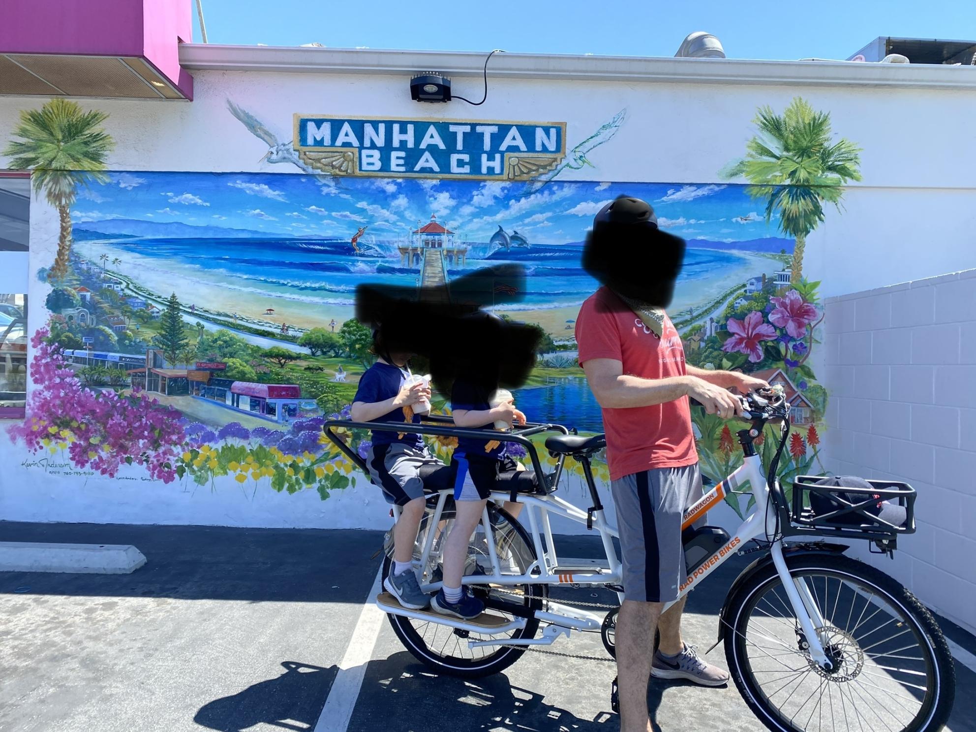 2019 Rad Power Bikes RadWagon White