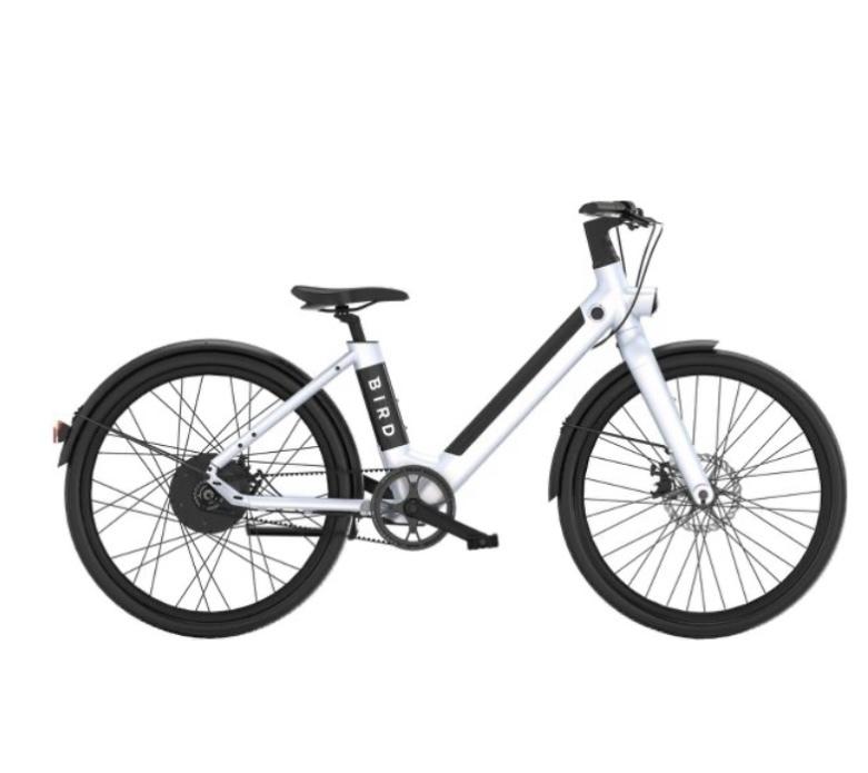 2023 Bird V-frame White
