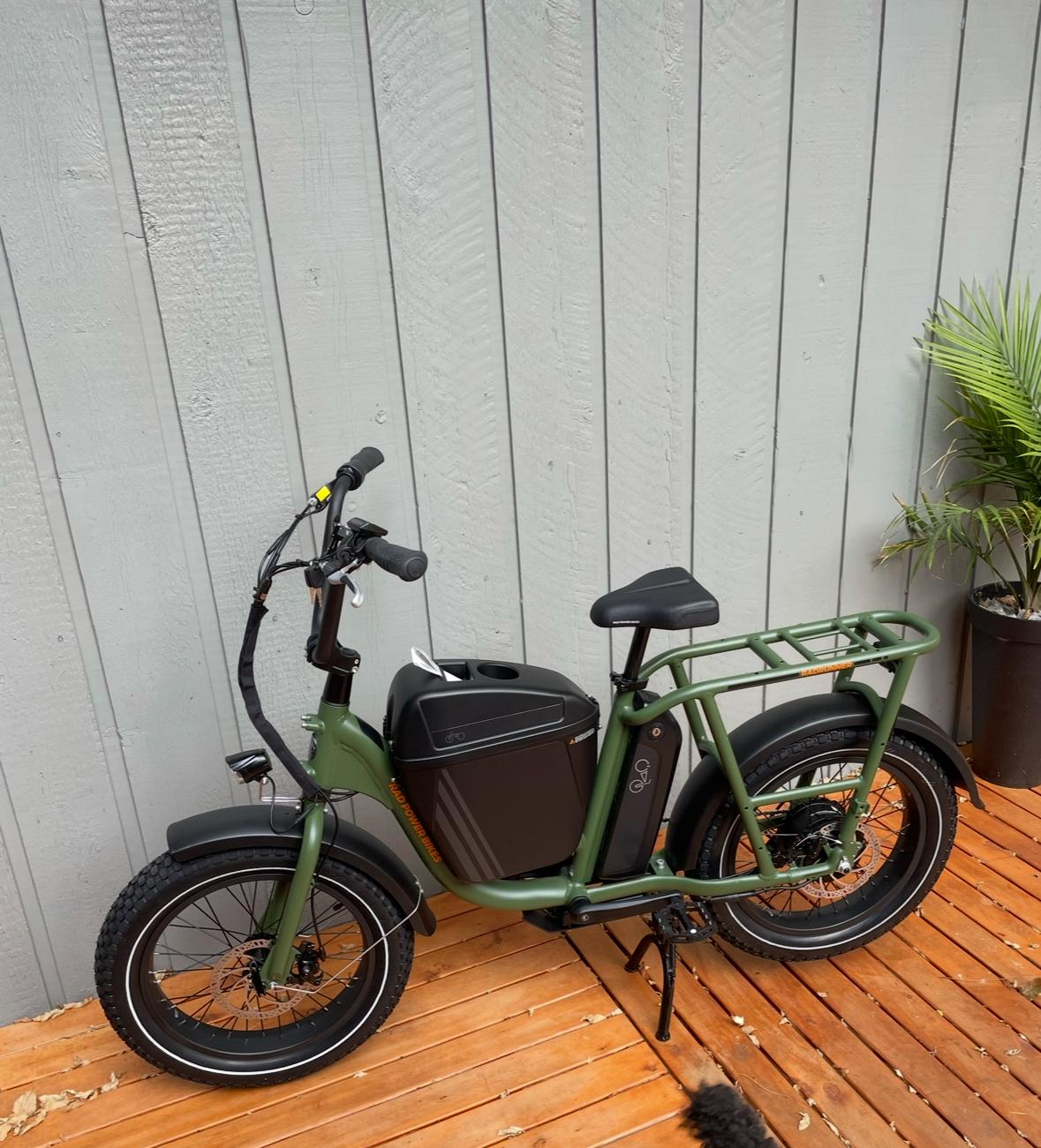 2021 Rad Power Bikes Radrunner electric utility bike Green
