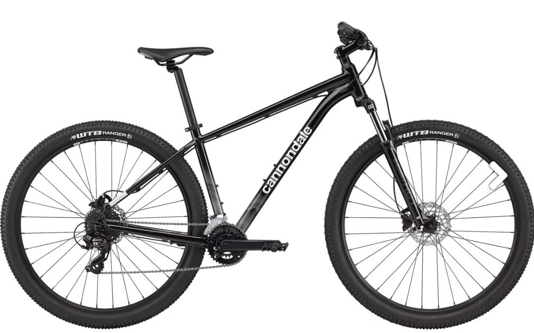 2021 Cannondale Trail 7 Black and Silver, gray or bare metal