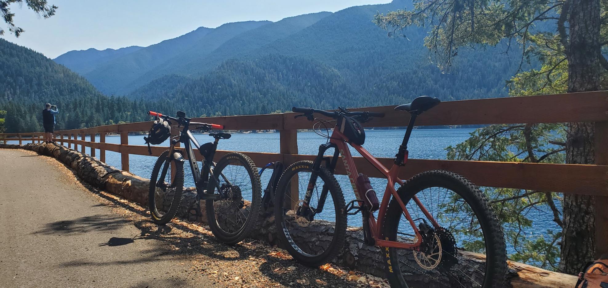 2019 Santa Cruz Chamelon Orange