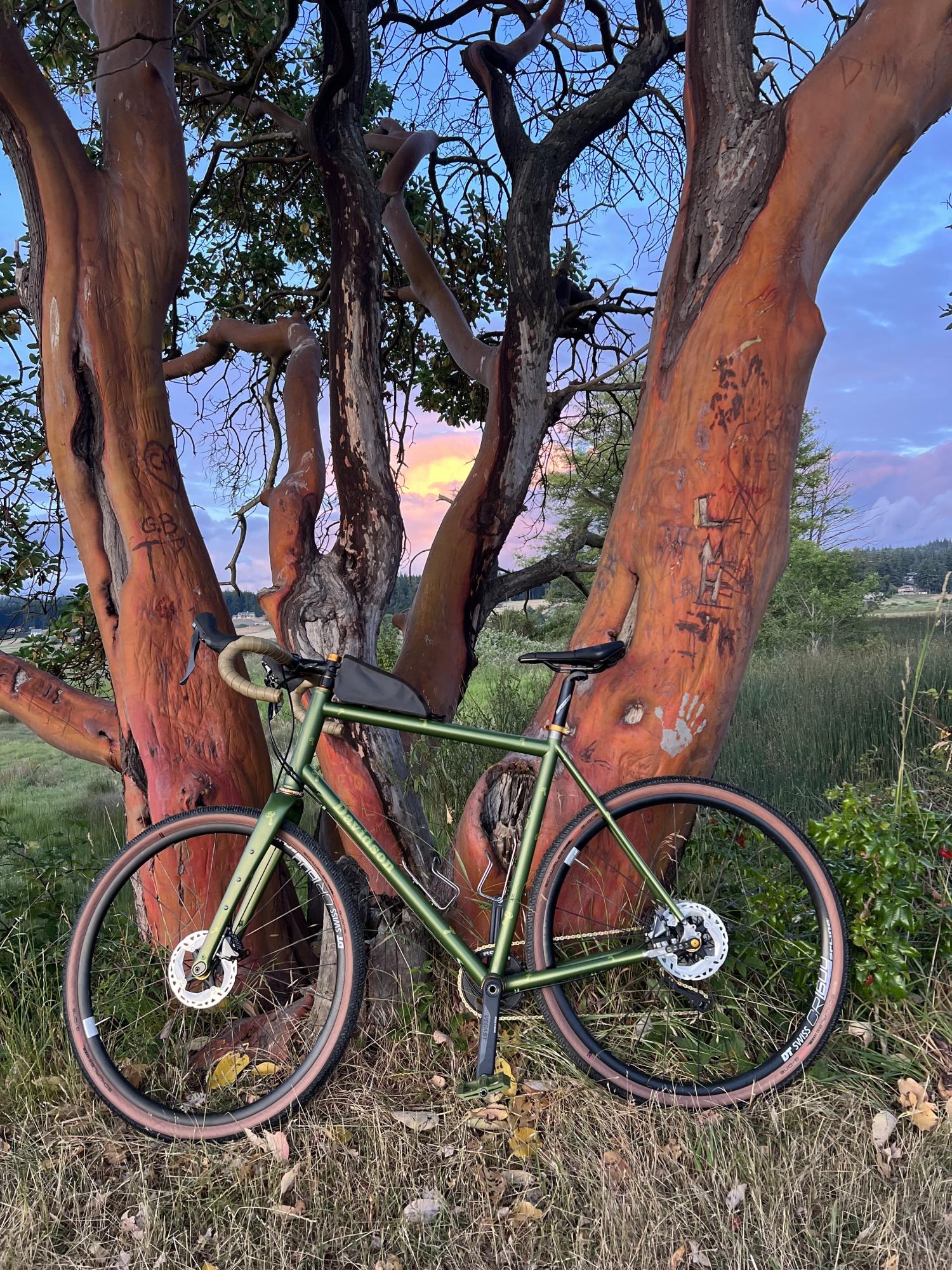 2023 Davidson Custom Green