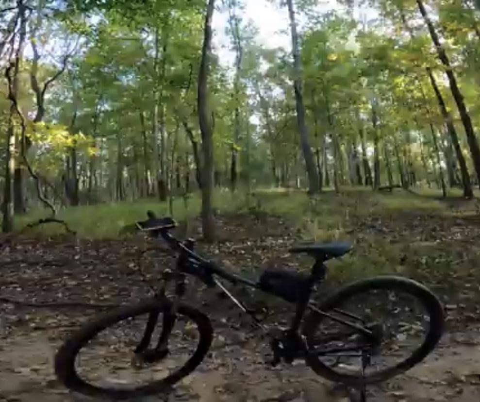 2021 Trek Marlin 5 Black
