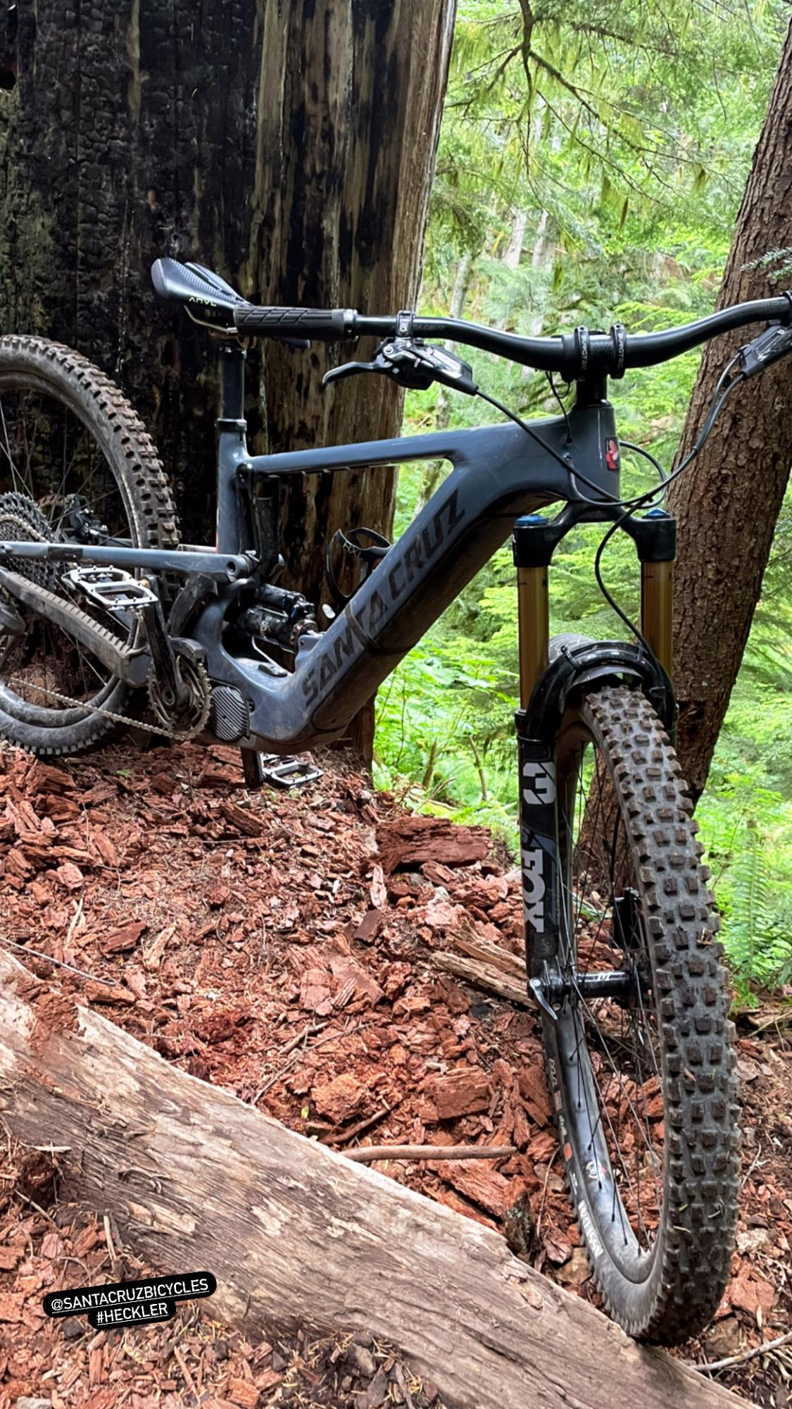 2022 Santa Cruz Heckler Silver, gray or bare metal