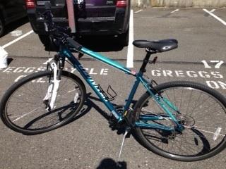 2013 Specialized Ariel 13  Black