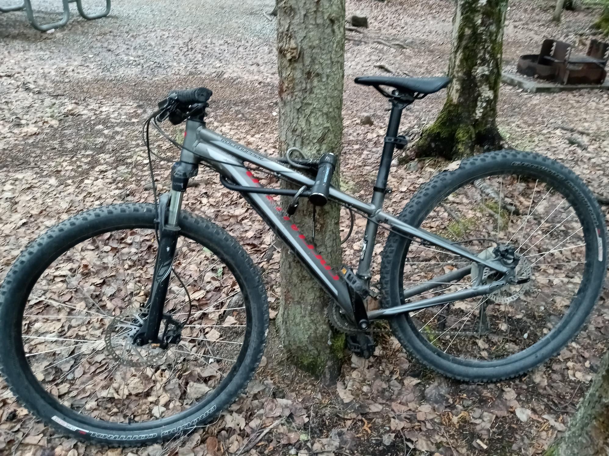 Specialized Rockhopper Silver, gray or bare metal