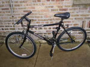 Schwinn Mountain  Black